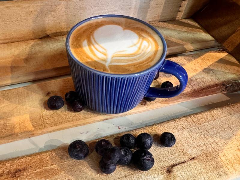 taza cafe 800×600 taza cafe 800x600