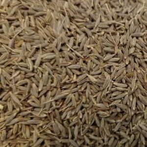 COMINO GRANO 1 e1606838252279.jpg