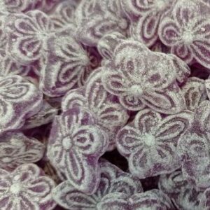 VIOLETAS e1607679978584.jpg